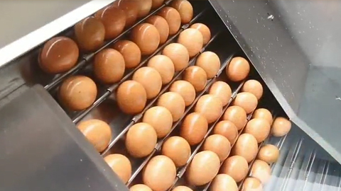 整套工序自動化